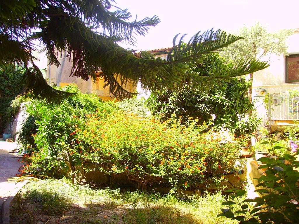 L'Antica Cantina Usini Exteriér fotografie